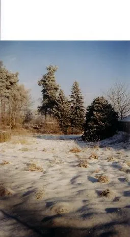 Verkaufe Baugrundstück 1000 qm in ruhiger Lage in der Nähe zum Wald und von Leip