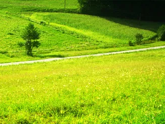 Baugründe mit traumhaften Aussichten