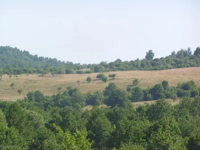 Plot of land  Sugau   Sighet-Maramures-488838  sqm-For sale