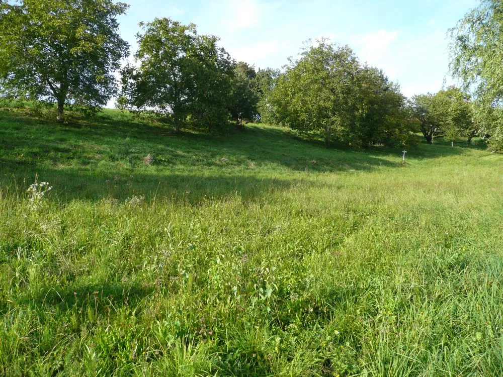 Baugrund in Aussichtslage