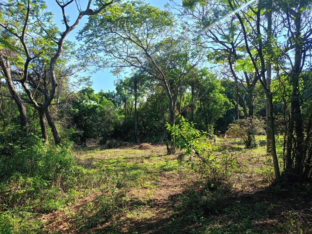 Malerisches Grundstück 40 km von Asunción, Paraguay, entfernt - direkt vom Eigen