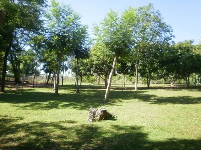 Farm zu verkaufen in Loma Grande /Altos/Cordillera, Paraguay